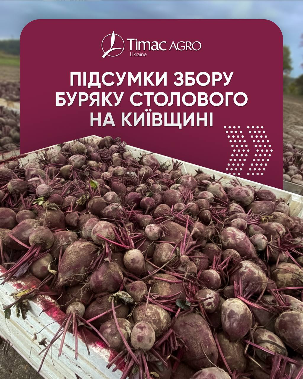 photo 2025 11 14 17 05 26