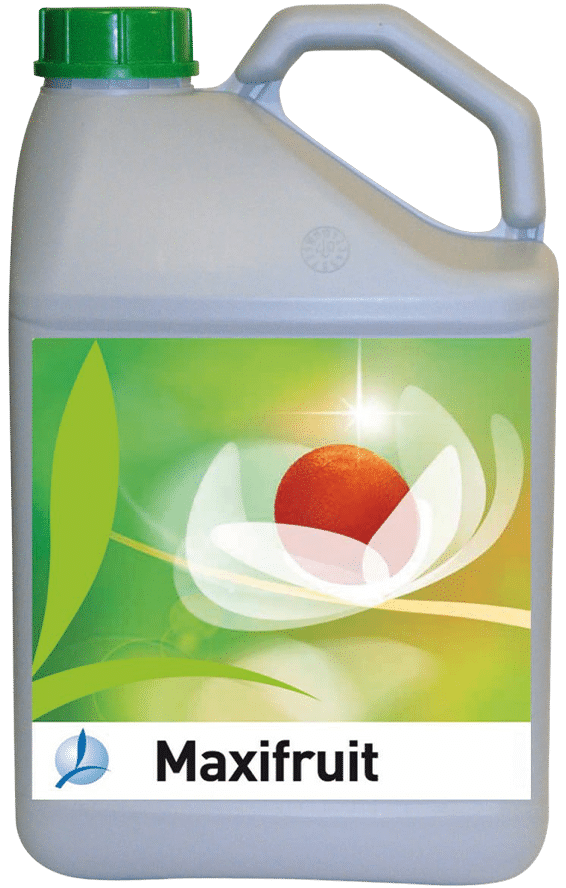 MAXIFRUIT