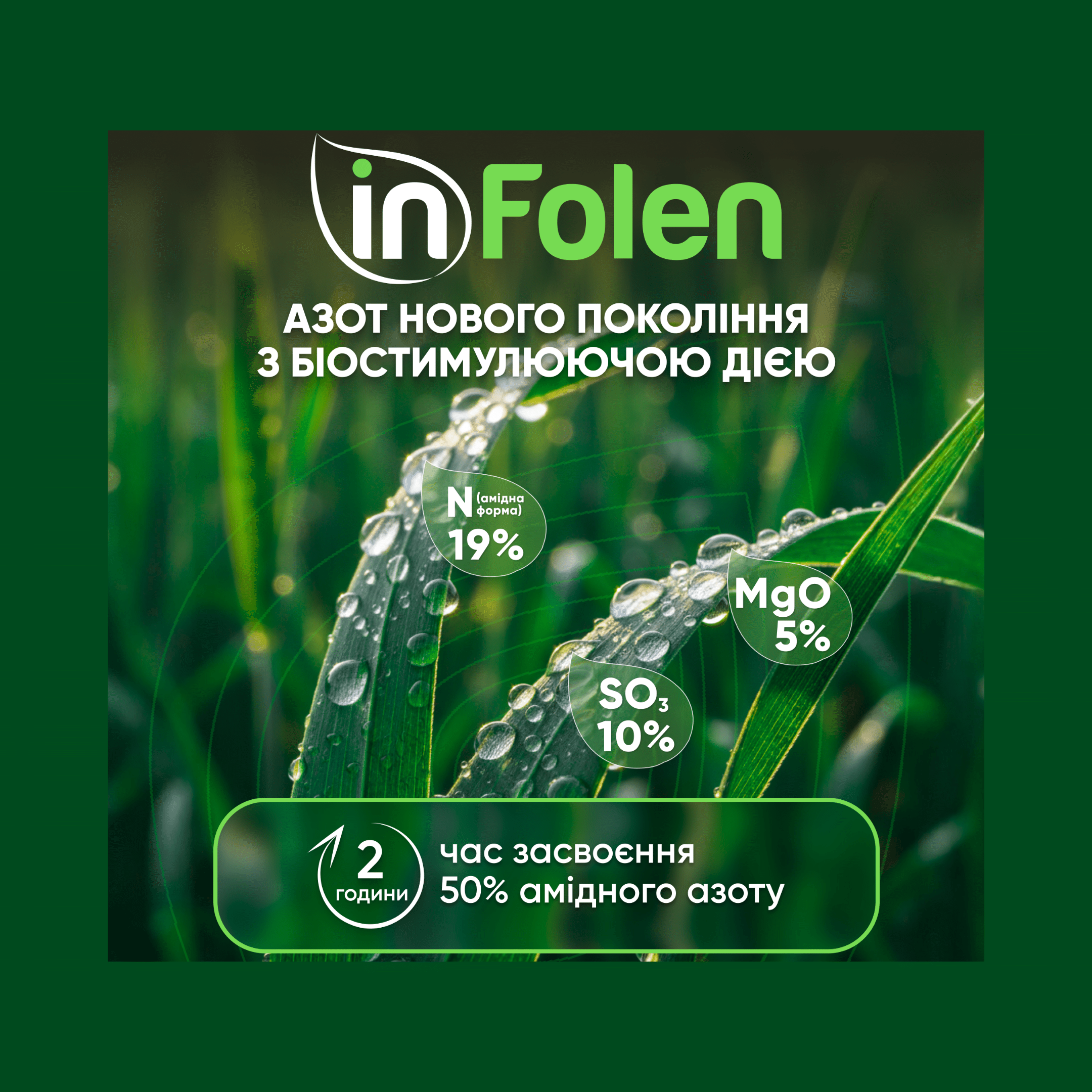 Дизайн без названия