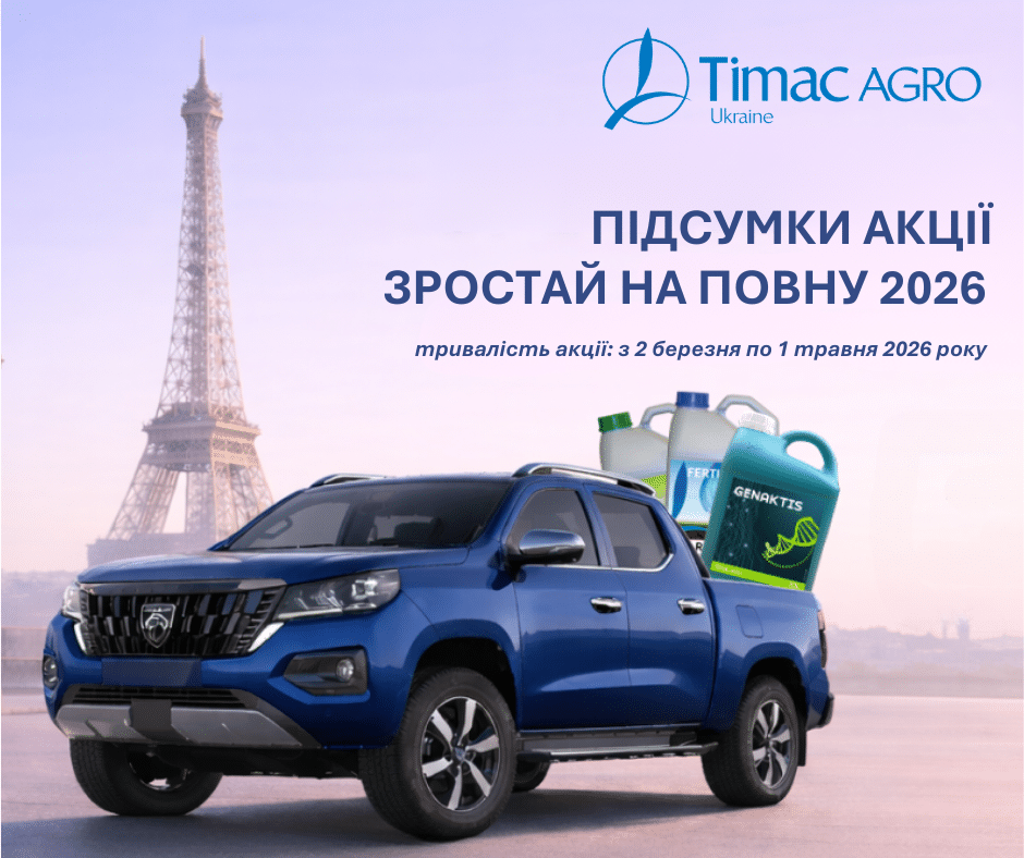 Дизайн без названия